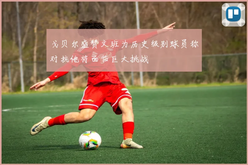 戈贝尔盛赞文班为历史级别球员称对抗他将面临巨大挑战