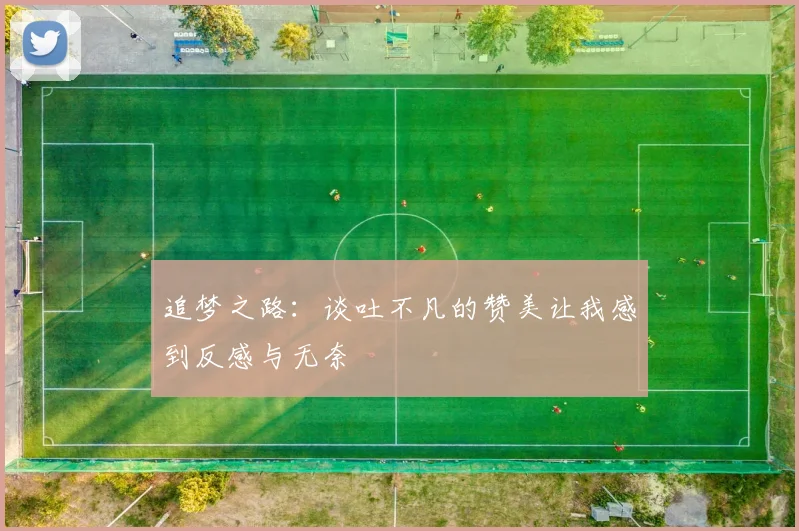 追梦之路:谈吐不凡的赞美让我感到反感与无奈
